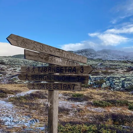 Awesome In With Sauna