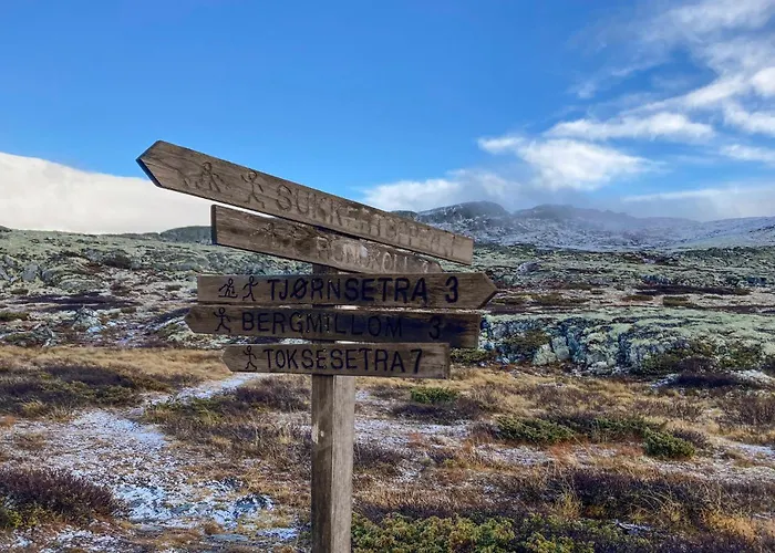 Awesome In With Sauna